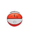WILSON WNBA Authentic Outdoor Mini Basketball - Size 3-22"