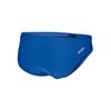 ARENA Herren Dynamo Swim Briefs, Royal, 54 EU