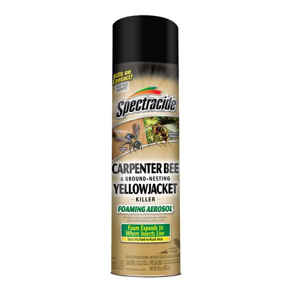 Spectracide Carpenter Bee and Ground Nesting Yellow Jacket Foaming Aerosol, 16-Ounce