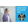 Lymph System Support | Lymph Detox & Cleansing Repair Formula