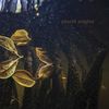 Touch The Earth [VINYL]