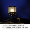 Shinfuji regulator lantern