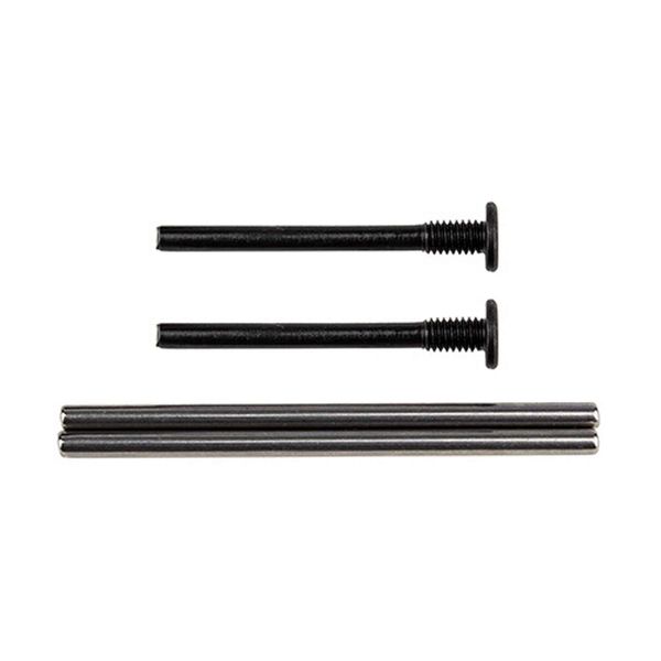 Team Associated Apex 2 Hinge Pins