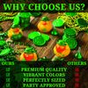 One Dozen (12) Irish St. Patrick's Day Rubber Ducks