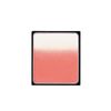 Paula B.A 3D Oasis Blush 01 [Face Color] 0.3 oz (9 g)