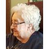 Ear Gear ITE Binaural – Protect ITE Hearing Aids from Loss