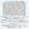 Ayus SILICA High Concentration Silica Solution 100