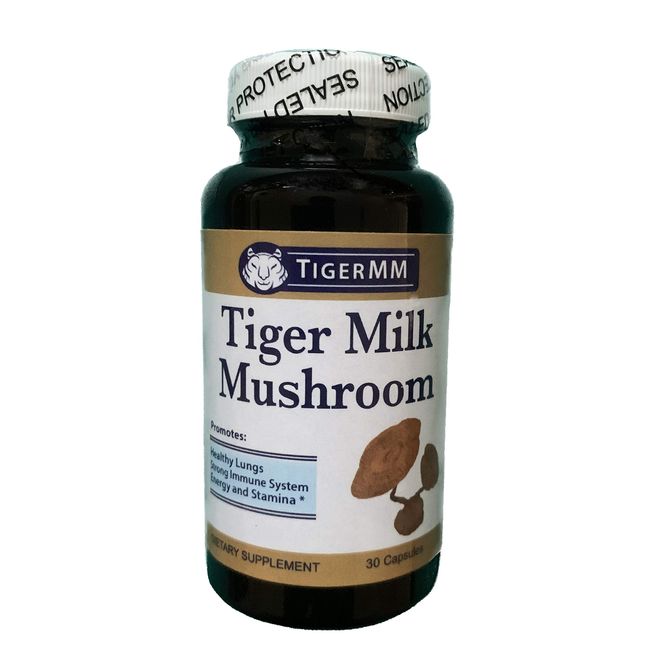 Tiger Milk Mushroom (Lignosus rhino.) USA, Lung Respiratory Support, Immune Booster