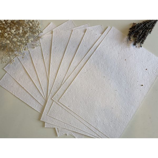A4 & A5 Plantable Seed Paper/Card - Eco Friendly Print at Home Craft Paper with Wildflower Seed Mix (A4 Pack of 10 Seeded Paper)