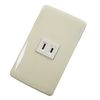 Maxar Electric Outlet with Plate for Electrical Installation, 1 Piece