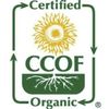 McCabe ORGANIC Black Rice, 12-Pound, USDA Organic Certified