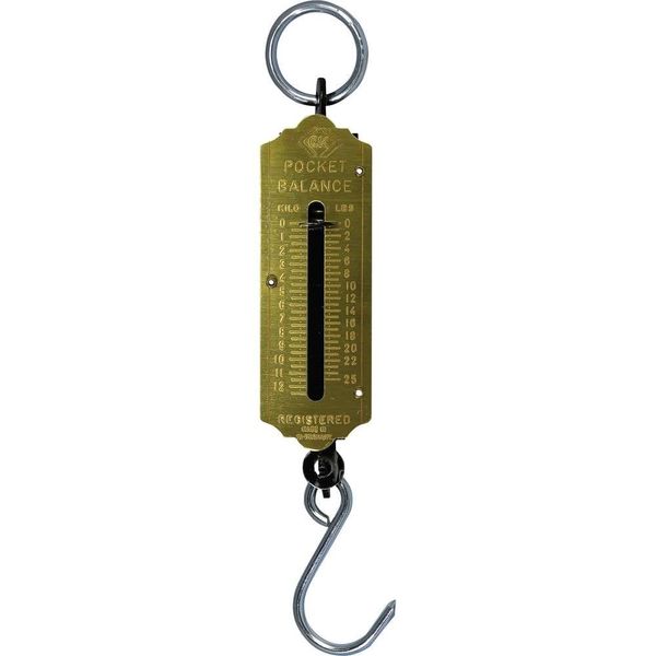 C.K T6202 025 Pocket Balance