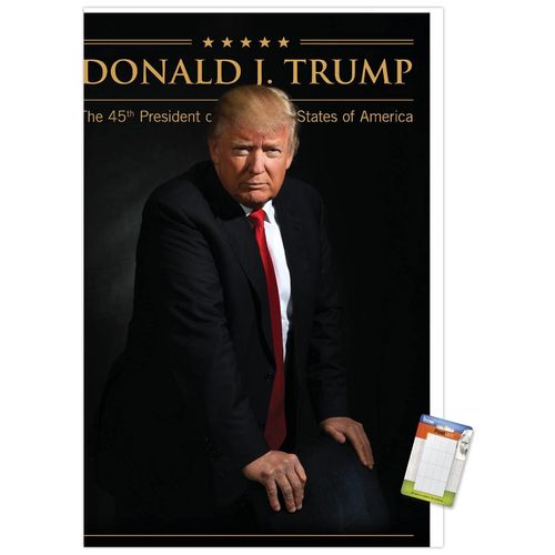 Trends International President Donald Trump Wall Poster, 14.725" x 22.375", Premium Poster & Mount Bundle