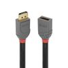 LINDY Anthra Line DisplayPort Extension Cable, 1 m