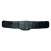 Nakayama Style Body Frame for Waist, Hard Double, LL Size, Waist Circumference: 35.4 - 43.3 inches (90 - 110 cm)