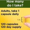 Nature Made Turmeric Curcumin 500 mg 180 Capsules