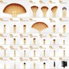 VANDER Professional 32 Piece Makeup Brush Set   Bag not included