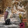 Versatile Owl Decoy with Sand-Filled Base - Effective Bird Control for Outdoors