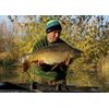 Tandem Baits Karpfen Futter Angelfutter Hakenköder Carp Food Mini Boosted Hookers 12 mm 50 g Schwarzer Heilbutt