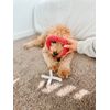 Midlee XO Valentine's Rope Dog Toy