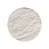 Nail Satin Chrome Powder In Case (Satin-001)