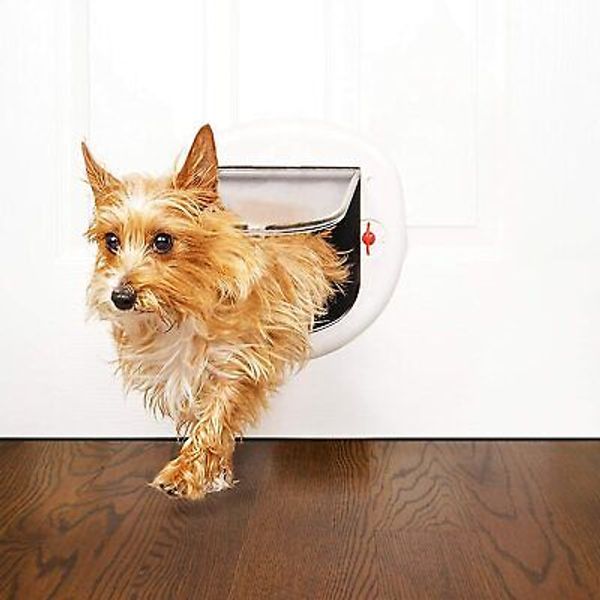 Doggy Door Dog Cat Pet Gate Entry Exit. Small 4 Way Locking Flap Kitty Premier