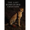 The Last Surviving Cheetahs [DVD]