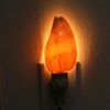 Authentic CERITHS Shells Seashell Night Light Lamp Decorative Home Decor Party Gifts