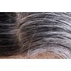 GRAY HAIR REVERSE ADVANCED COMPLEX - horsetail herb, biotin - 1 Bottle 60 Caps
