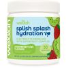 Wellah Splish Splash Hydration Electrolyte Mix (Strawberry Kiwi, 30 Servings)