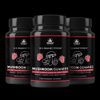 Lions Mane Reishi Chaga Mushroom Gummies Immunity Brain Function Memory 3 Pack