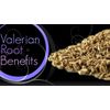 Sleep Aid Pills - VALERIAN ROOT EXTRACT - FOR MIGRAINE HEADACHES - 2B