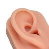 Piercing Practice Model, Reusable Elastic Teaching Aids Soft Piercing Practice Model with Base for Hospital (Light Skin Color)