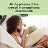 De La Cruz 100% Pure Tea Tree Oil - Steam Distilled Tea Tree Essential Oil for Aromatherapy - 2 FL OZ (6 Bottles)