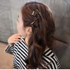 2Pairs Leopard Print Acrylic Geometric Shape Hair Clip Triangle and Round Side Clamp Hair Pin Insert Clasp Grip Barrettes Headwear Headdress for Hairdressing Decoration