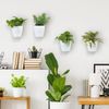 Wall Mounted White Plastic Self Watering Planter Pots, Tabletop Plant Container