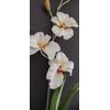 ARTIFICIAL miltoniopsis orchid plant CREAM