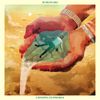 Chasing Euphoria [VINYL]