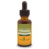 Herb Pharm Hydrangea Liquid Extract for Urinary System Support, 1 Fl Oz