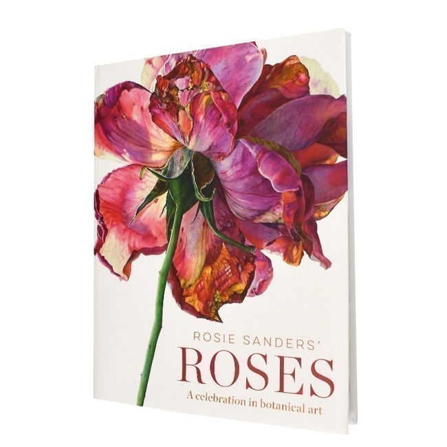 罗西桑德斯的玫瑰 Rosie Sanders'Roses 英文原版 手绘植物教程 全彩艺术绘画 素描草图 花卉插画书籍