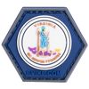 Evike Operator Profile PVC Hex Patch State Flag Series (Model: Virginia)