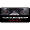 CafePress Security Oval Car Magnet, Euro Oval Bumper Magnet