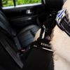 Battersea Seat Belt Clip