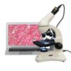 AmScope 40X-1000X Student Metal Microscope + 1.0MP Camera, 2 Lights, Glass Lens