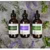 Lavender Essential Oil by Velona - 8 Fl Oz | Therapeutic Grade for Aromatherapy Diffuser