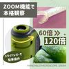 Raymei Fujii RXT1143B ZOOM Handy Microscope Black