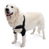 Ortocanis Elbow Brace for Dogs with Elbow Osteoarthritis - Size S - Hygroma or Shoulder Dislocation