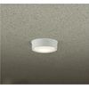 Daiko Denki DWP40248Y LED Eaves Sealing