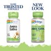 SOLARAY Avena Sativa, 350 mg | 100 Count