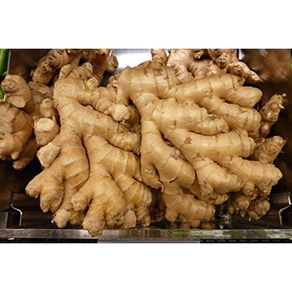 NON GMO fresh ginger from Peru (10)